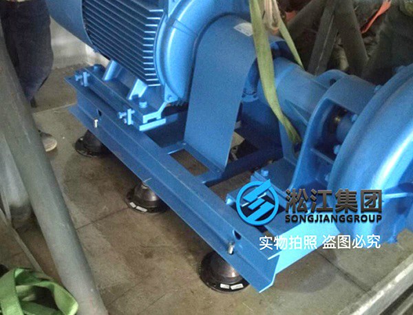 9 SCR型水泵低频橡胶减震器案例.jpg