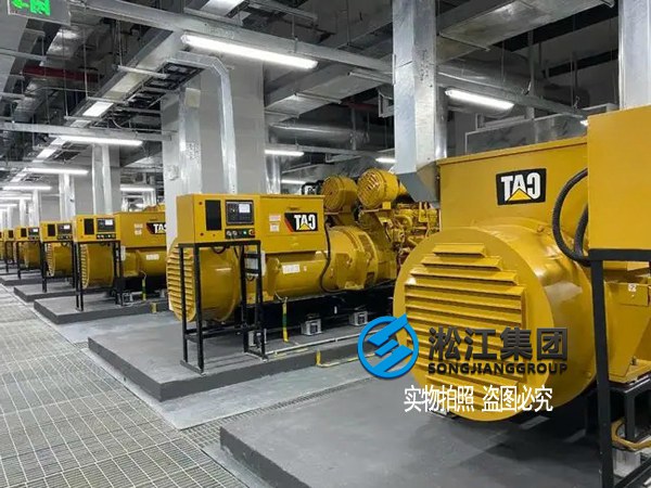 9 CAT发电机组弹簧减震器案例.jpg