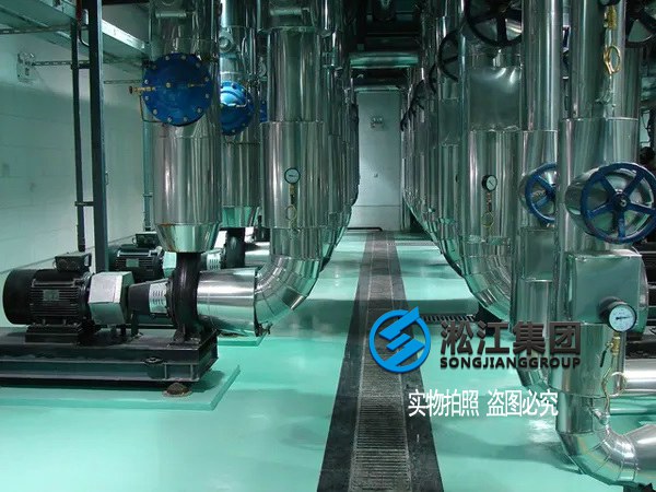 8 SCR型水泵低频橡胶减震器案例.jpg